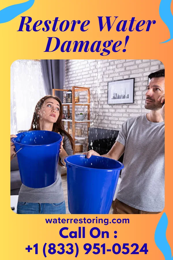 water restoration Premier Storm Recovery LLC Altavista