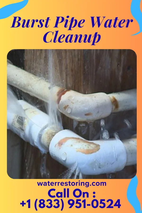 Burst Pipe Water Cleanup in Altavista, VA