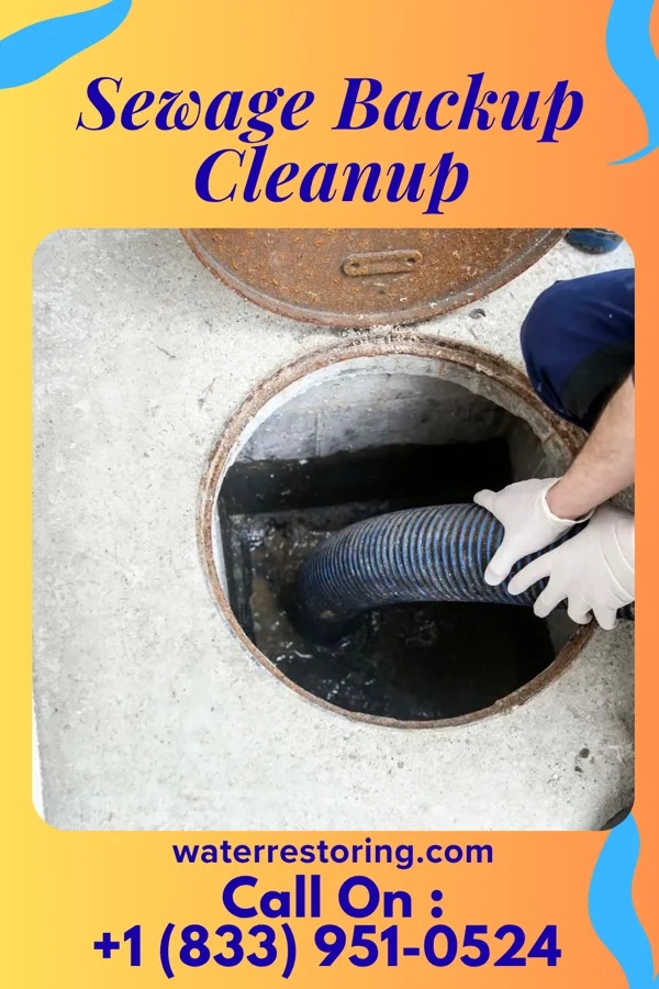 Sewage Backup Cleanup in Altavista, VA